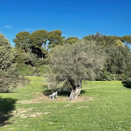 Graphique Welkeys Apartment